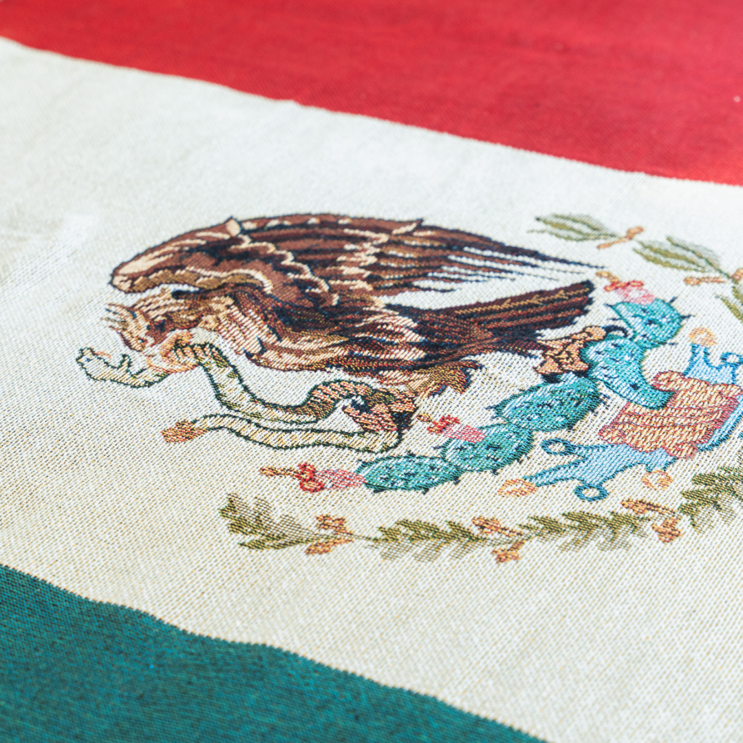 Mexico Flag Woven Throw Blanket – Cotton-Poly Blend | Sofa, Bed & Wall Décor